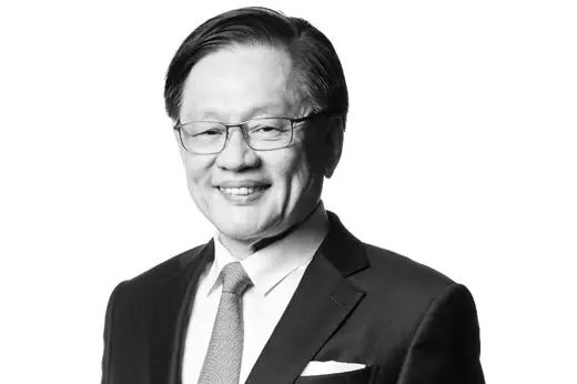 Mr Lim Ah Doo. Chairman and Non-Executive and Independent Director, Olam 