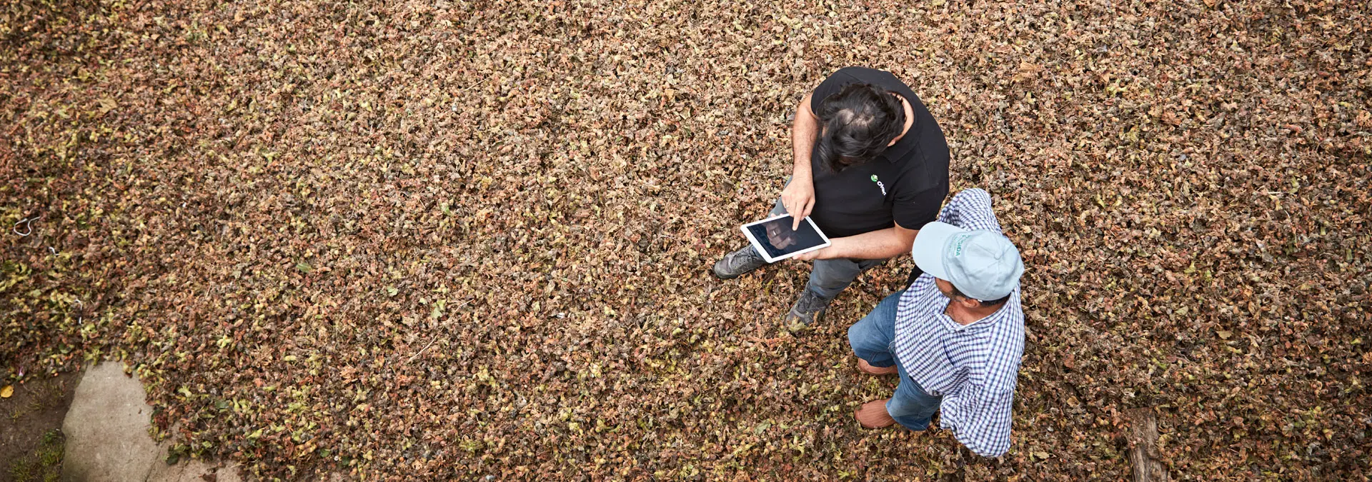 Largescale Farming Cotton in the USA